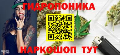 тгк Будённовск