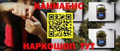 тгк Будённовск