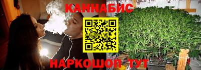 тгк Будённовск