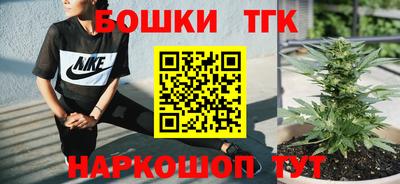 тгк Будённовск